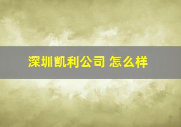 深圳凯利公司 怎么样